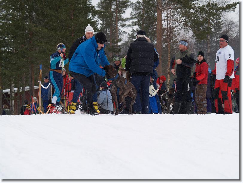 Nästa bild
